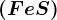 (FeS)