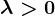 \lambda >0