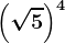 \left ( \sqrt5 \right )^4