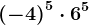 \left ( -4 \right )^5\cdot 6^5