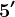 5'
