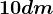 10 dm