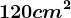 120 cm^2