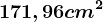 171,96 cm^2