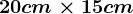 20cm\times 15 cm