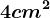 4 cm^2