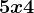 5 x 4