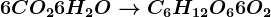 6CO2+6H2O--> C6H12O6+6O2