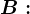 B: