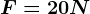 F = 20 N