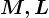 M, L