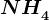 NH4^+