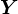 Y