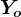 Yo