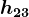 h23