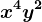 x^4y^2