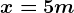 x = 5 m